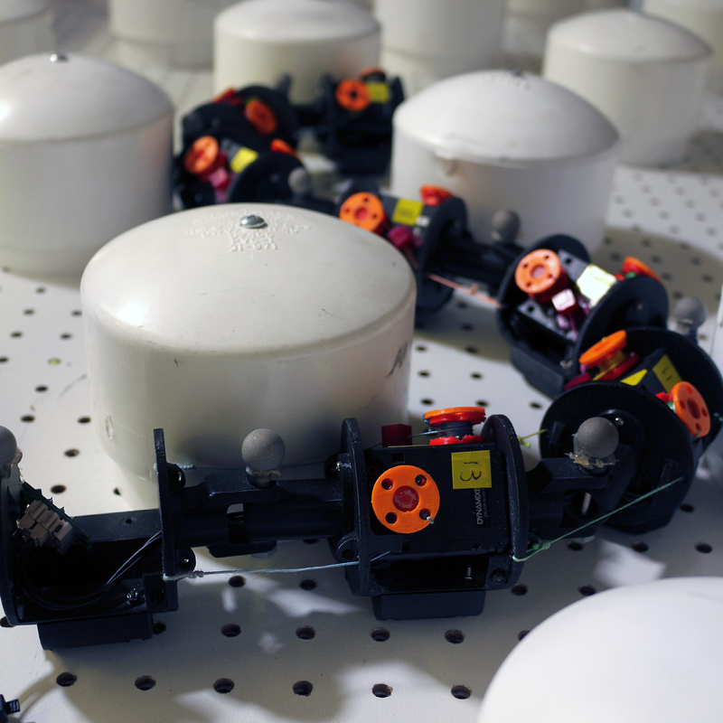 robotic worm in practice environment