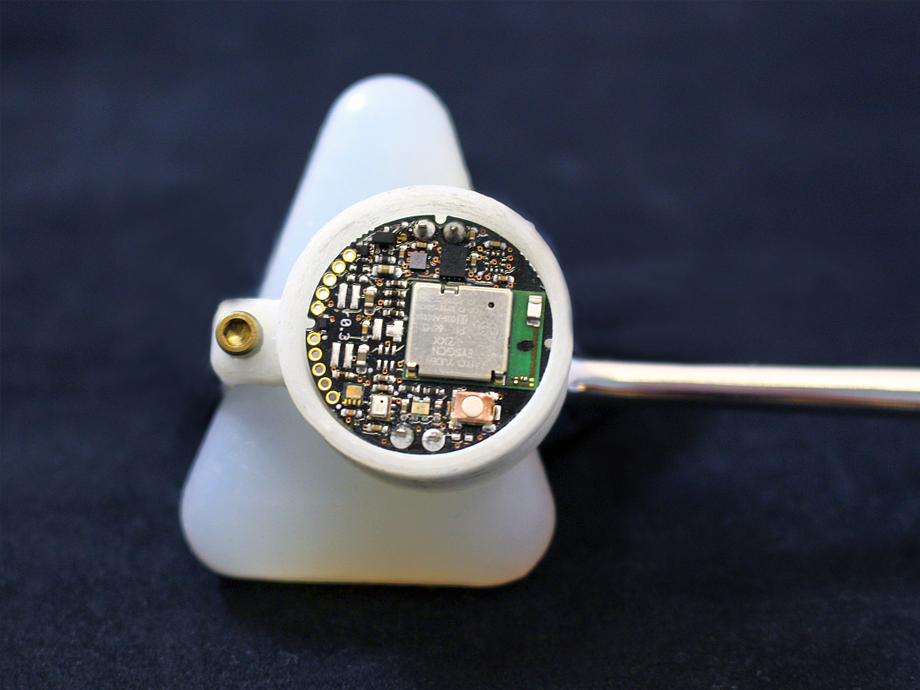 small device showing a small microchip